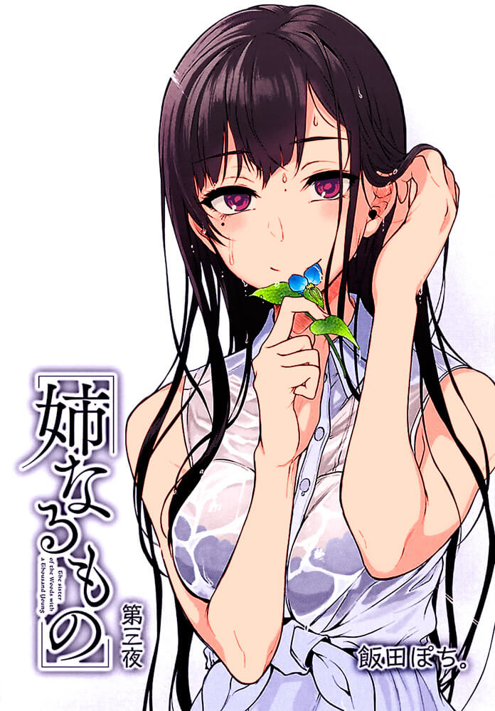 Ane Naru Mono (The Elder Sister Like One)